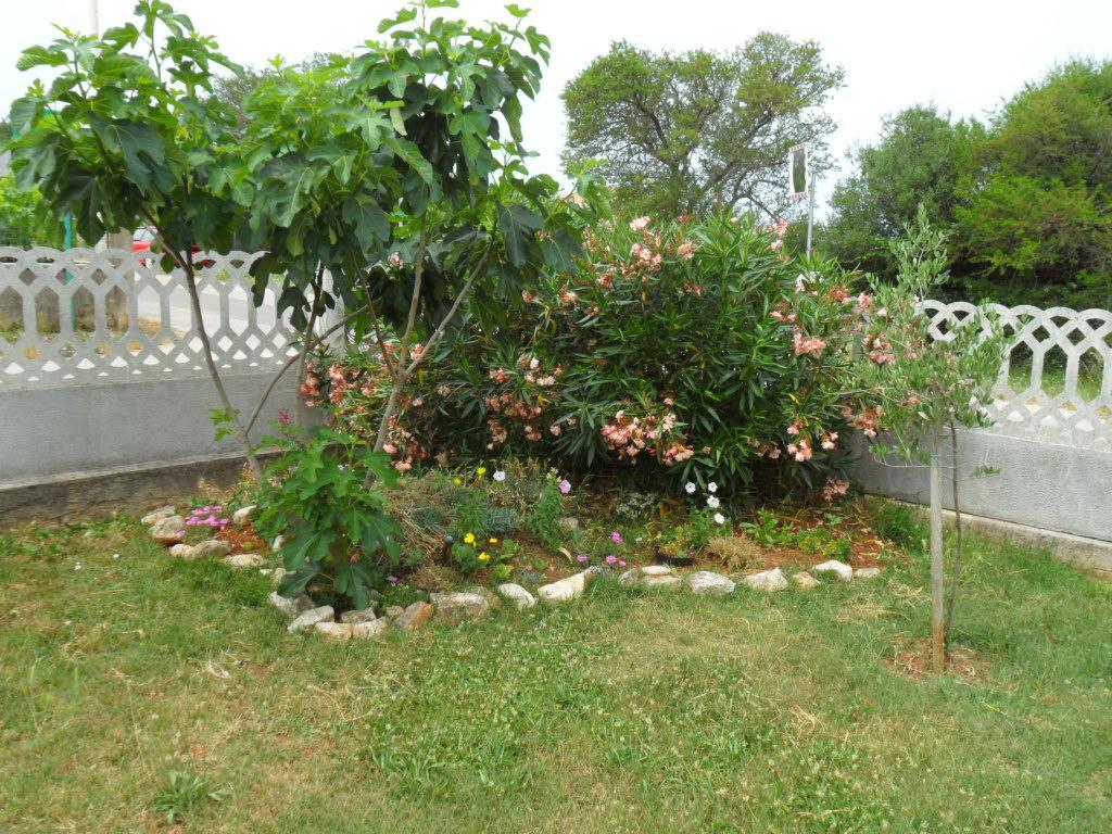 Apartments Hrga Pula Dış mekan fotoğraf