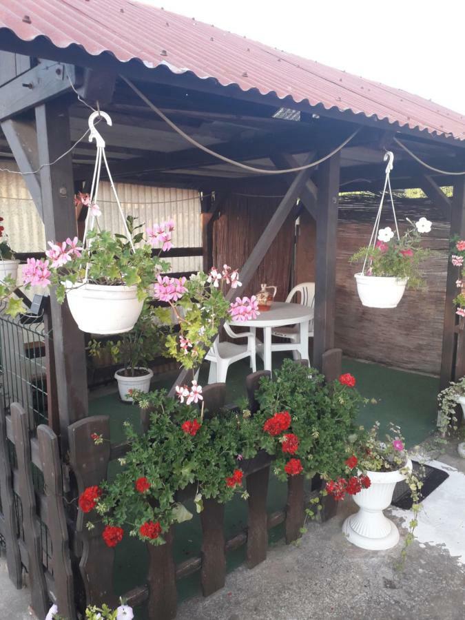 Apartments Hrga Pula Dış mekan fotoğraf